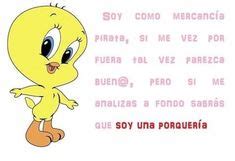 60 ideas de Piolin Grosero frases piolín memes sarcásticos piolin