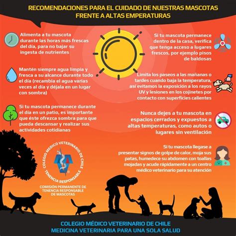 Ola De Calor Aprende A Reconocer Y Evitar Un Golpe De Calor En Tu