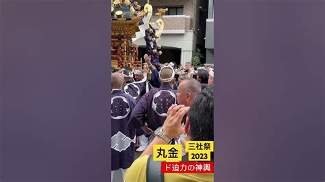 令和5年浅草 神社例大祭「三社祭」刺青 2023 西浅三北町内神輿連合渡御 丸金 Sanja Matsuri Japanese Tattoo