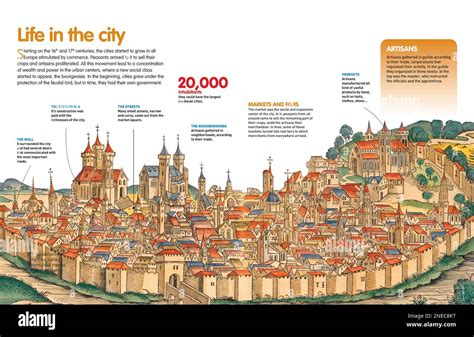 Infographic That Describes The Structure Of Medieval Cities And The