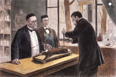 Louis Pasteur Munkássága Cultura Hu