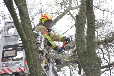 Brandweer Verwijdert Gevaarlijke Hangende Takken Van Bomen