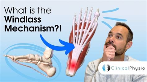 What Is The Windlass Mechanism How The Role Of The Plantar Fascia