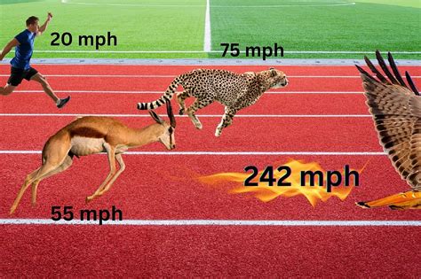 The Worlds Fastest Animal Can Be Found In Kentucky