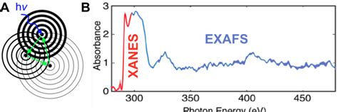 Extended X Ray Absorption Fine Structure Exafs A Schematic Of