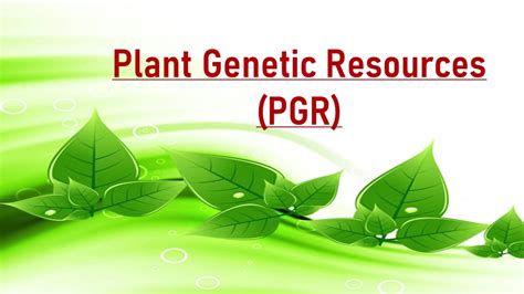 Plant Genetic Resources Pgr Youtube