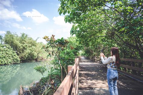 《台北北投》舊雙溪河步道 城市裡的寶藏秘境！幽靜的碧綠河畔步道、邂逅一望無際的田園風光 我的旅圖中 During My Journey