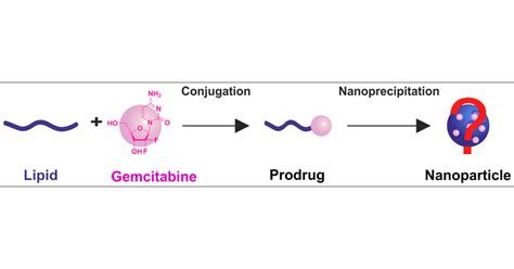 Gemcitabine Lipid Prodrugs The Key Role Of The Lipid Moiety On The