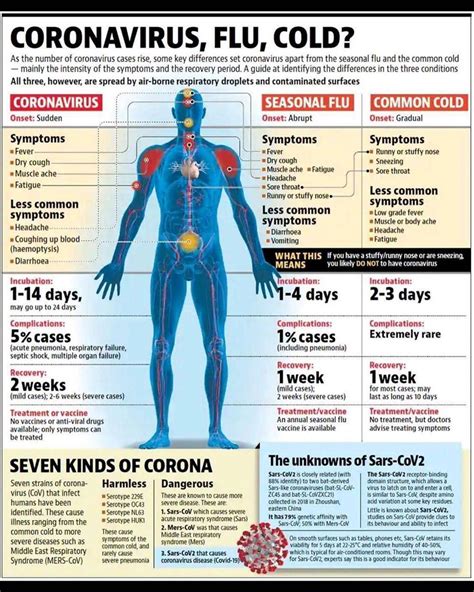 Normal covid symptoms timeline - inrikorush