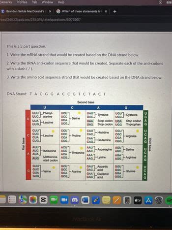 Answered Write The Mrna Strand That Would Be Bartleby