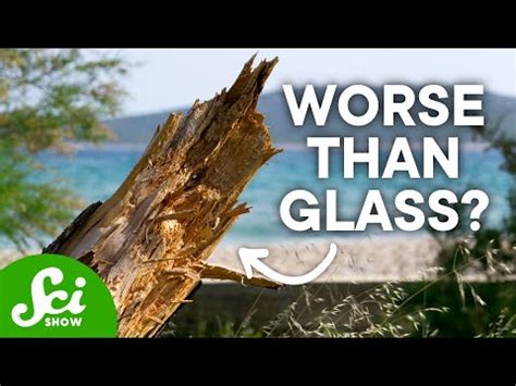 Here's What Happens If You Don't Remove a Splinter - Thrillist