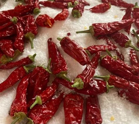 Wonder Hot Dry Red Chilli At Kg Dry Red Chilli In Dharmabad ID
