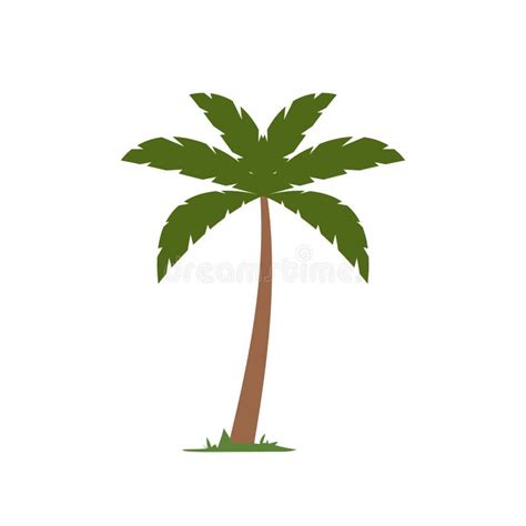 Cartoon Palm Tree Beach Coconuts Tree Vector Illustration Stock Vector