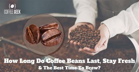 How Long Do Coffee Beans Last 12 Answers Myths Busted