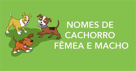 Nome De Animais Com Hiato - Nome De Animais Com Hiato - RETOEDU