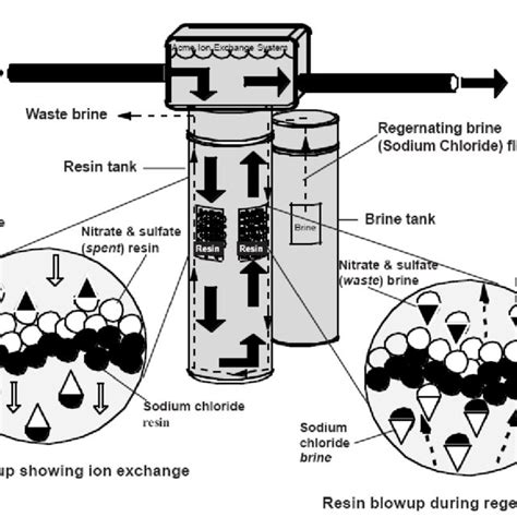 An Ion Exchange Unit Showing Nitrate Removal Download Scientific Diagram