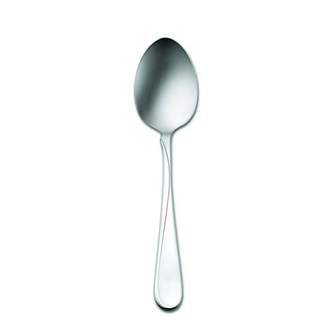 Oneida Flight Tablespoonserving Spoons Set Of 12 Home