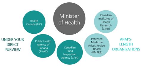 Ministerial Briefing Volume I Overview Of The Health Portfolio