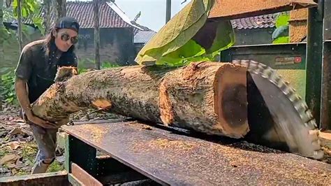 KETERAMPILAN MENAKJUBKAN MENGIRIS KAYU JATI Gergaji Serkel Keliling