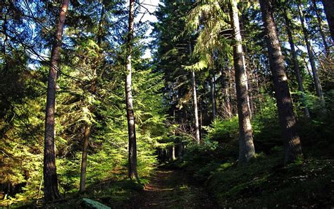 explore wallpaper colorful wallpaper