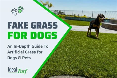 Fake Grass for Dogs: The Ultimate Pet Turf Buyer's Guide