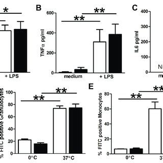 Cytokine Secretion In Response To Lps And E Coli Phagocytosis By Wt