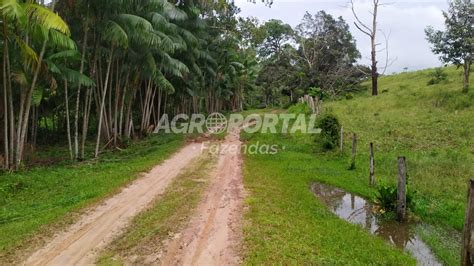 Fazenda à venda no Pará Paragominas 260 ha Agroportal