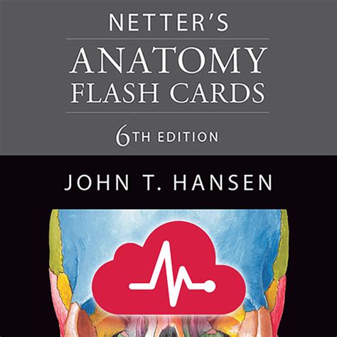 Netter S Anatomy Flash Cards Apps On Google Play