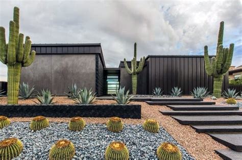 Creative Desert Landscaping Ideas