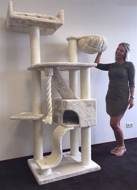 Best Cat Trees On The Market At Sally Stevenson Blog