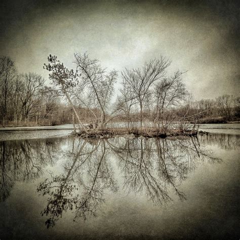 Island on Wetlands, New York by Dan Burkholder – The Ansel Adams Gallery