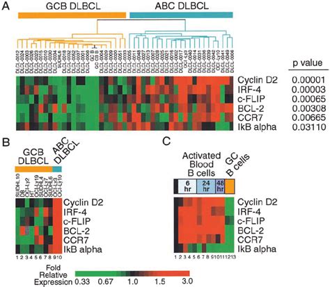 Dna Microarray Analysis Of Nf B Target Gene Expression In Dlbcl