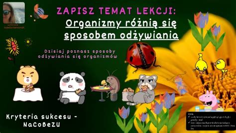 Organizmy R Ni Si Sposobem Od Ywiania Lekcja Multimedialna