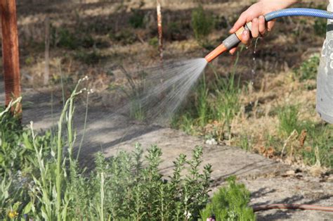 Sécheresse des mesures de restriction deau imposées dans le Val d Oise