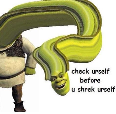 19 Best Shrek Is Love Shrek Is Life Images On Pinterest Dankest