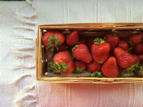 Fresas En Una Caja De Madera Foto De Archivo Imagen De Cesta