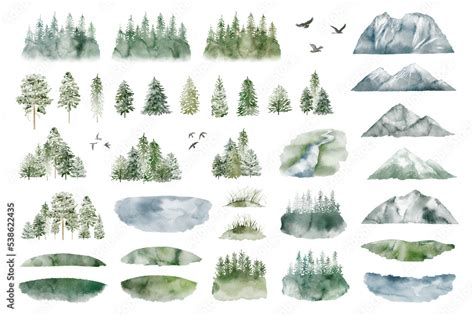 Watercolor Forest tree illustration. Mountain landscape. Woodland pine trees. Green Forest ...