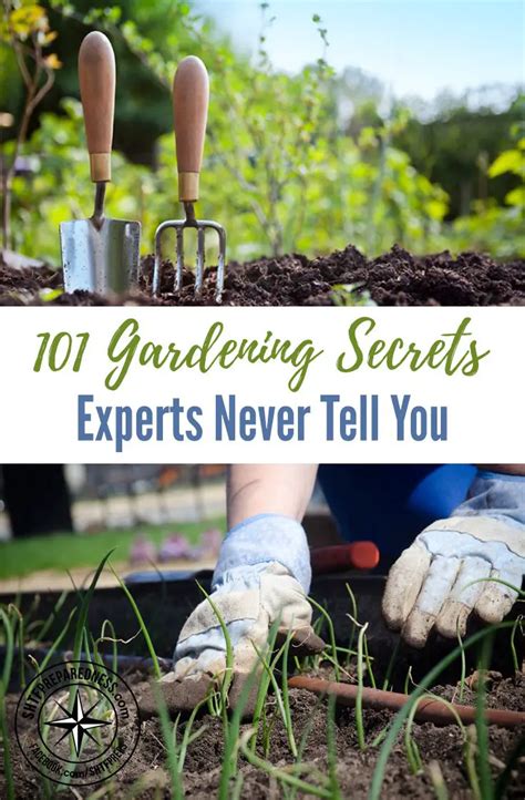 Gardening Secrets Experts Never Tell You