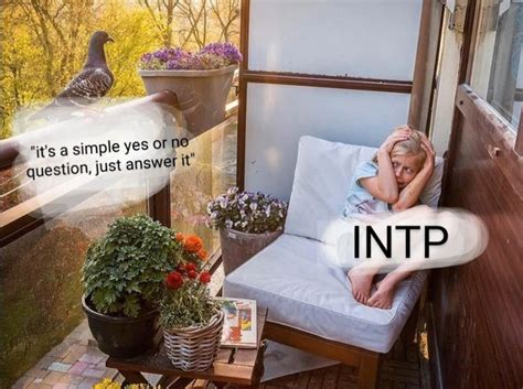 Pin En MBTI Memes Intp Tipos De Personalidad Mbti