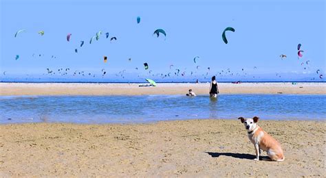 Spanien Andalusien Strand Kostenloses Foto Auf Pixabay Pixabay