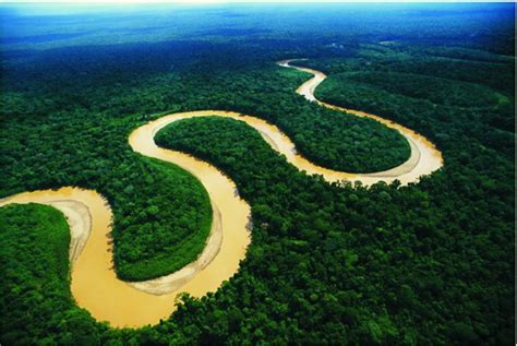 Amazonas en Colombia los 5 mejores destinos turísticos de la región