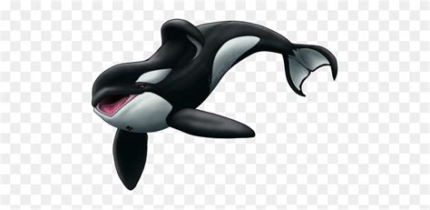 Orca Clipart Transparent Orca Clipart FlyClipart