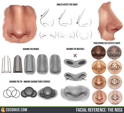 Check Out And Download The Nose Reference Hereartist Tim Von Rueden