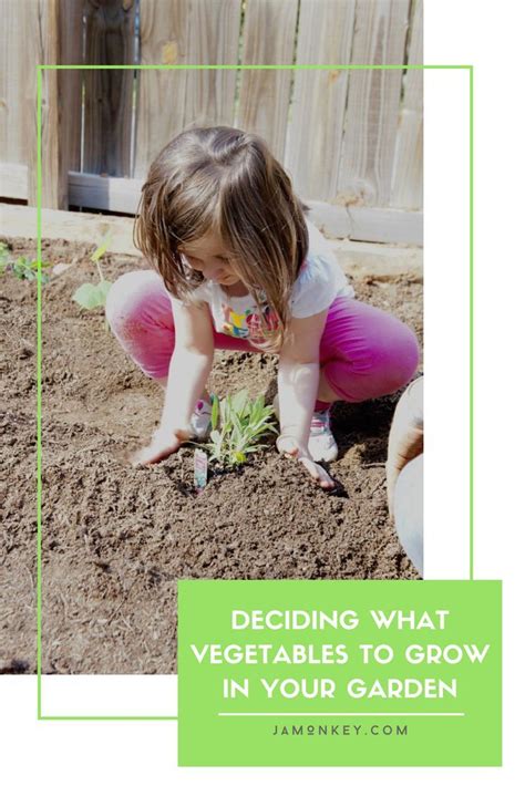 Deciding What Vegetables To Grow In Your Garden Growing Vegetables Vegetables Garden