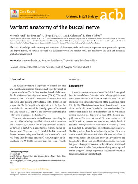 (PDF) Variant anatomy of the buccal nerve