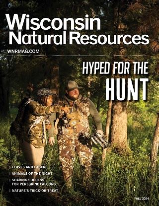 Historic Elk Hunting Season Begins Oct 12 Wisconsin DNR