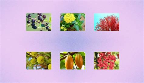 Mitolyn Reviews 2025: Real Results or Just a Trendy Supplement?