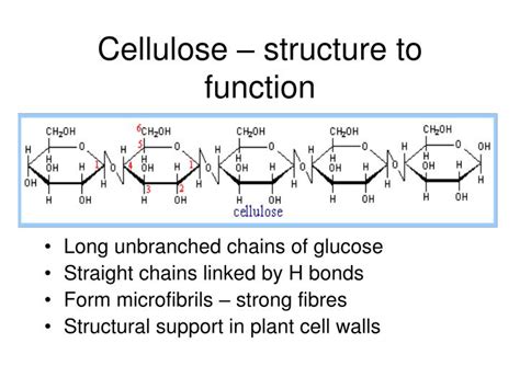 PPT - Biological Molecules PowerPoint Presentation - ID:824039