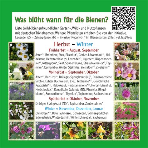 12 03 Pflanz Eine Blume Tag Und Vorschau Aufs Infofries Bienen