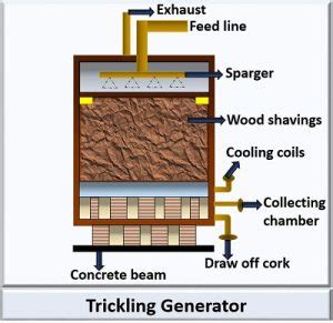 What is Acetic Acid Production? Definition, Process, Biosynthesis ...